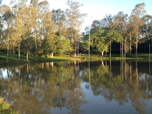 espaço aldo casagrande