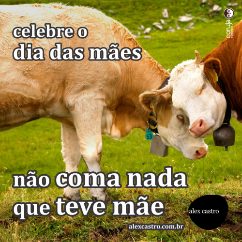 Celebre o dia das maes: nao coma nada que teve mae.